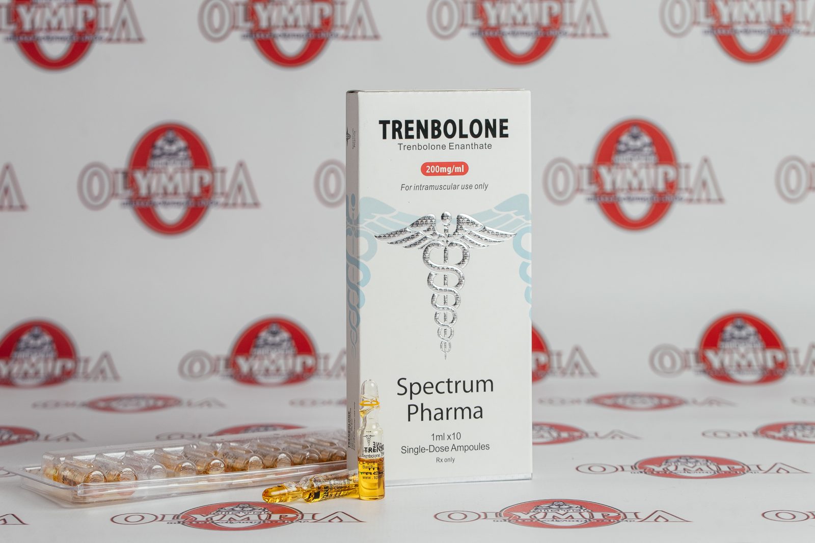 to4o5EPrHCdino39GGaR